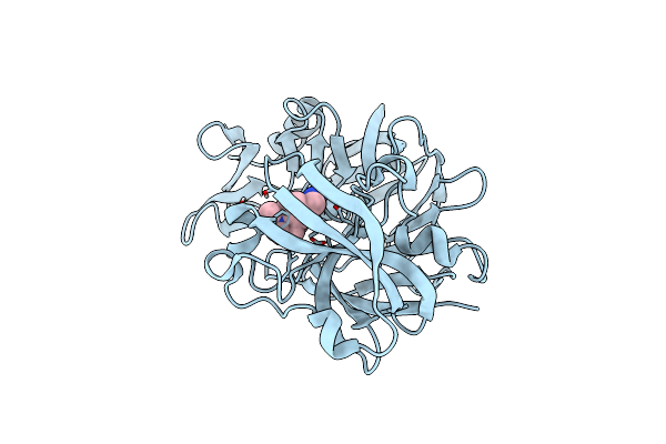 5R21 image
