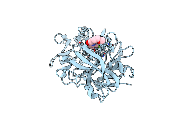 5R23 image