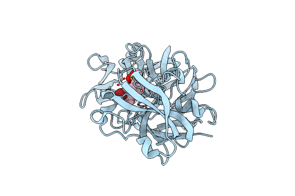 5R24 image