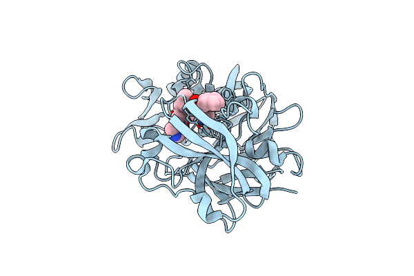 5R2A image