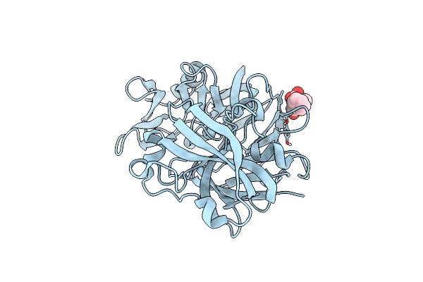 5R2B image
