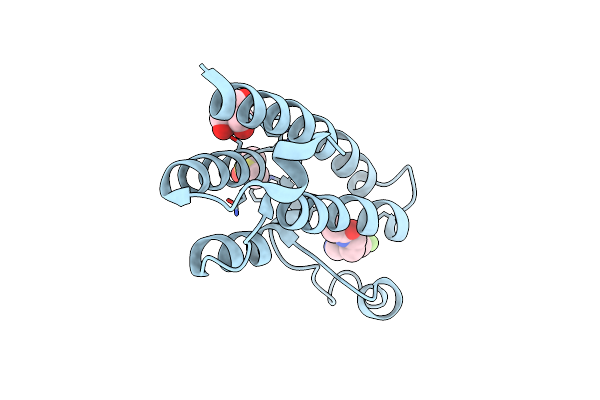 5R4H image