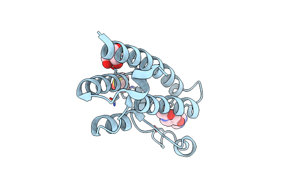5R4I image
