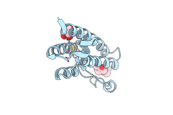 5R4K image