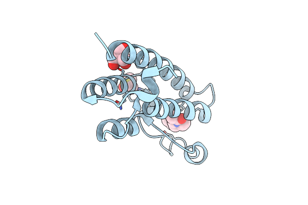 5R4N image