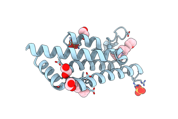 5R4V image