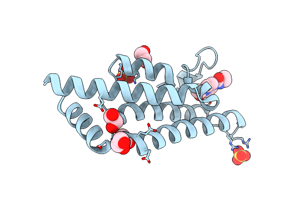 5R4X image