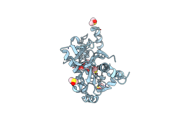 5R52 image