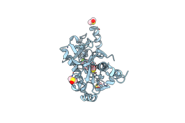 5R5C image