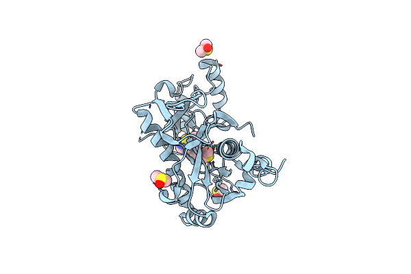 5R5E image