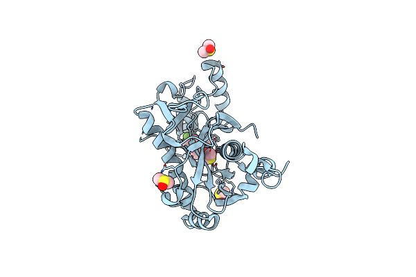 5R5F image
