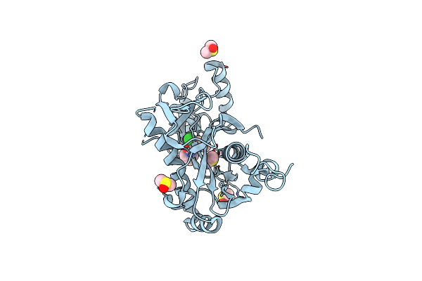 5R5N image