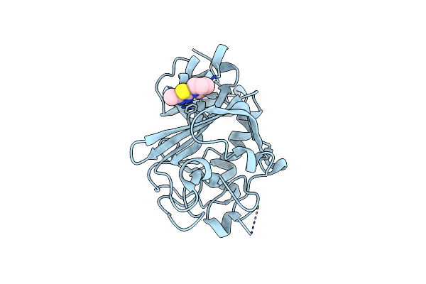 5R5T image