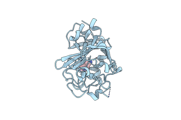 5R5X image