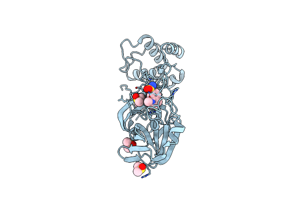 5R81 image