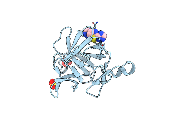 5R8B image
