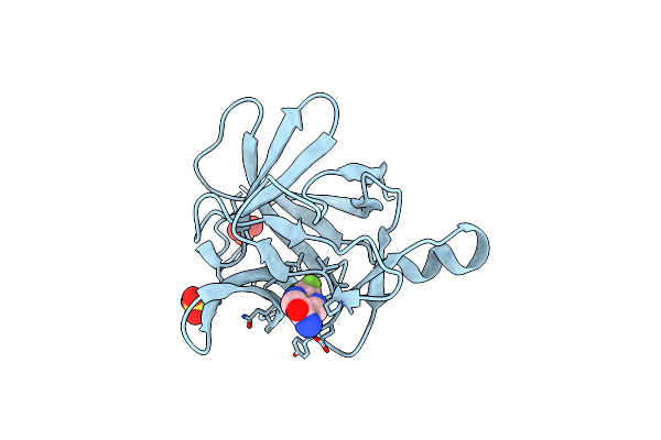 5R8D image