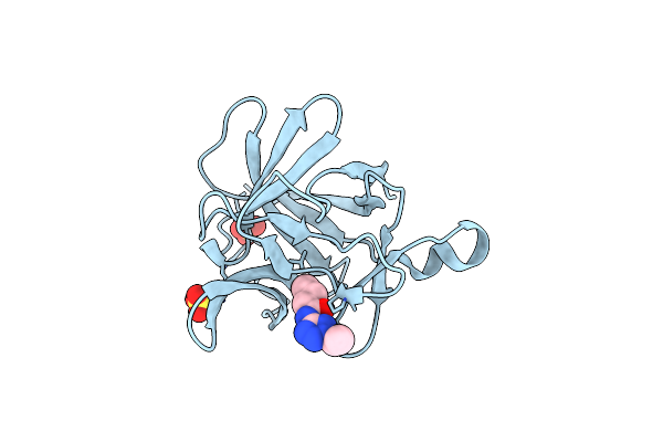 5R8E image
