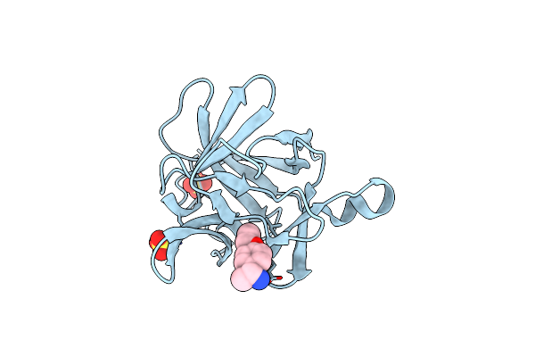 5R8I image