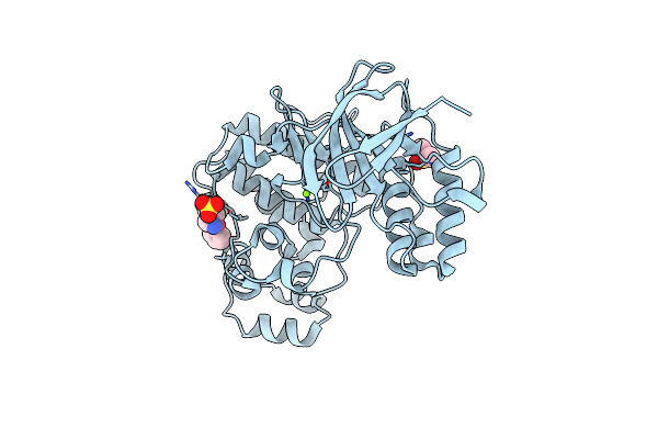 5R8X image