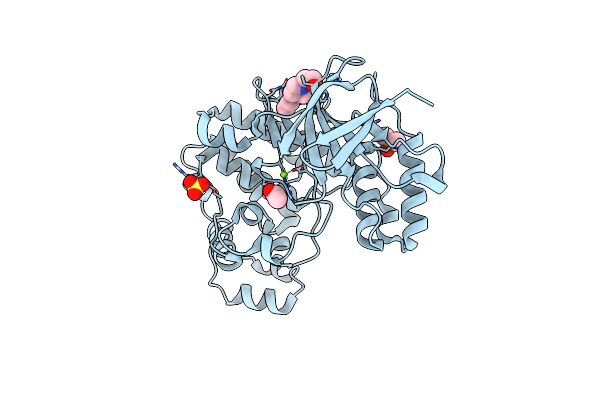 5R91 image