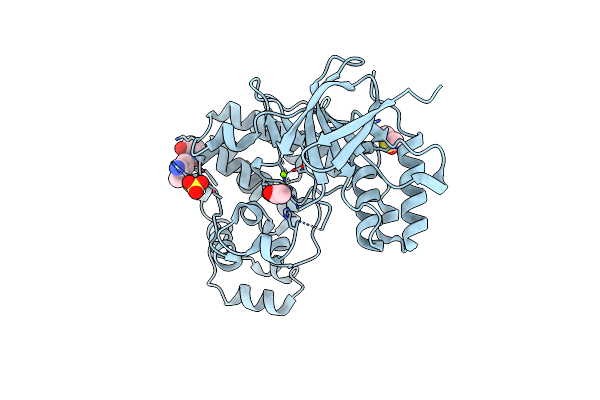 5R94 image