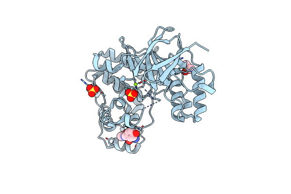 5R9B image