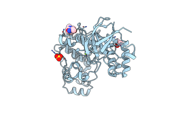 5R9G image