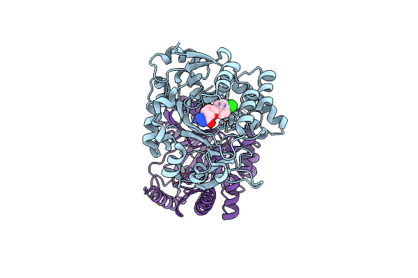 5RAB image