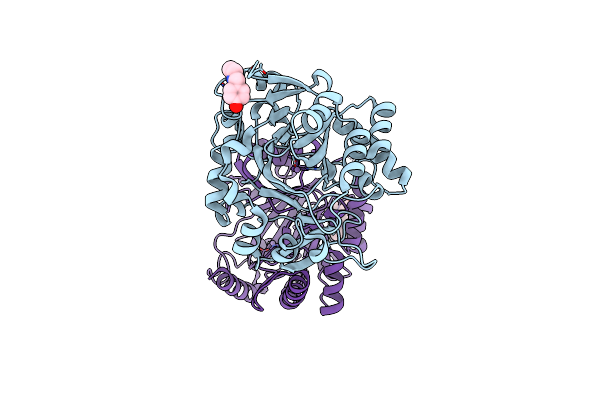 5RAC image