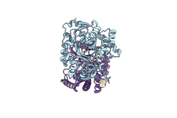 5RAH image