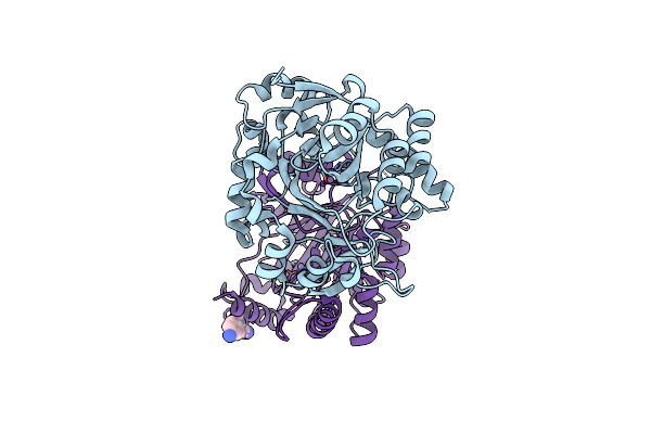 5RAL image