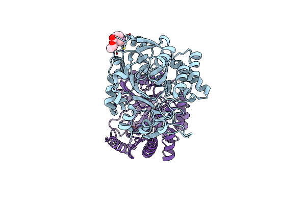 5RAU image