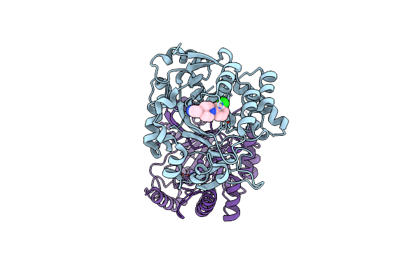 5RB4 image