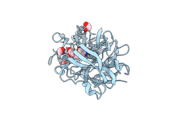 5RBO image