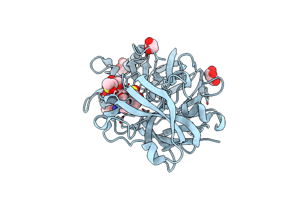 5RBP image
