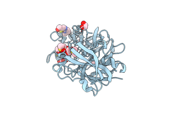 5RBT image