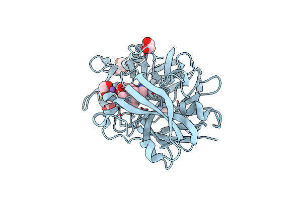 5RC1 image