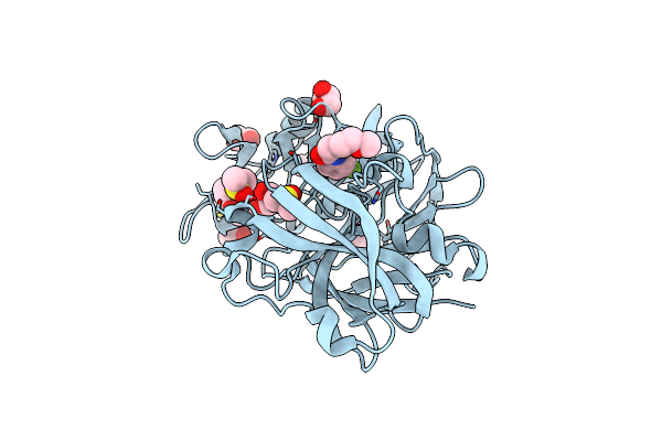 5RC3 image