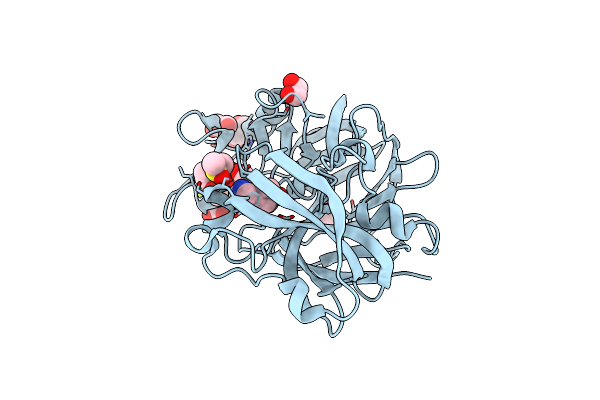5RC6 image