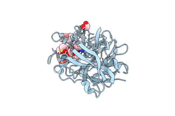 5RC8 image