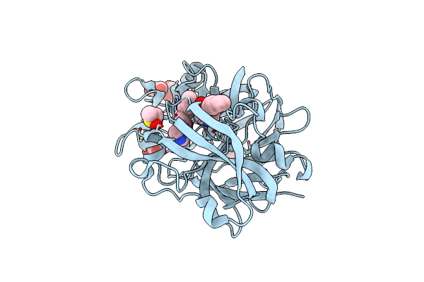 5RCC image