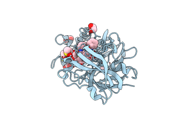 5RCG image