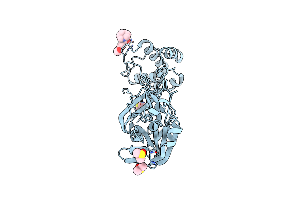 5REA image