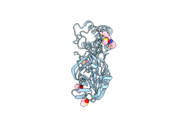 5REC image