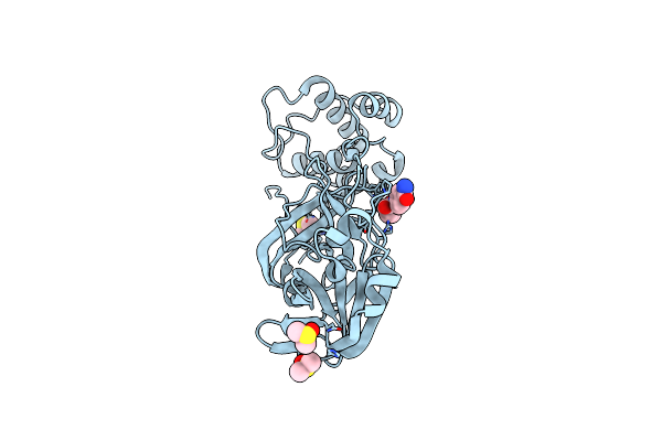 5REG image
