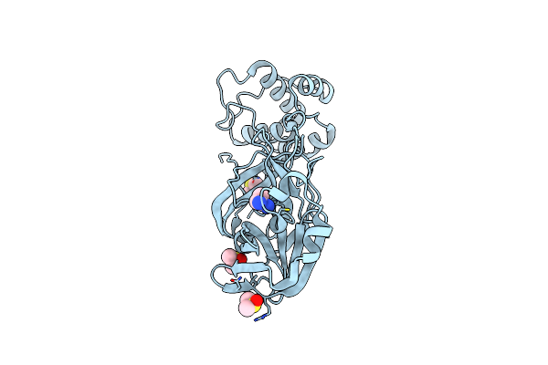5RF2 image