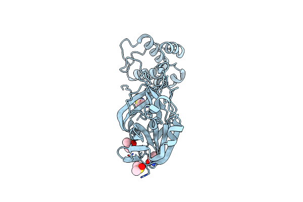 5RF4 image