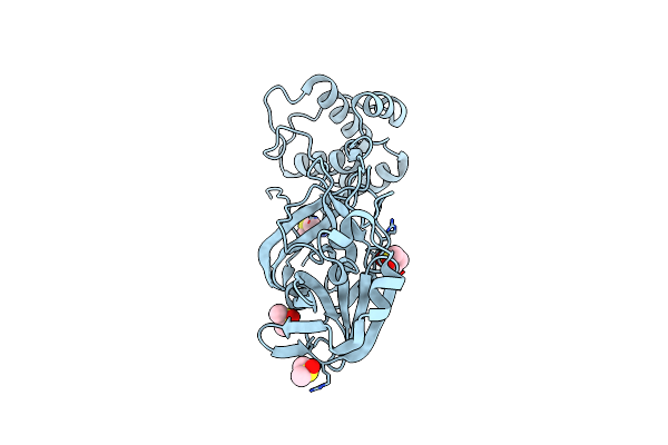 5RF5 image
