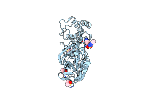 5RF8 image